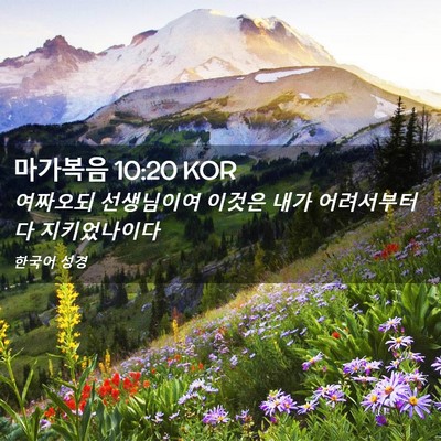 Picture 02 - 마가복음 10:20 KOR - 여짜오되 선생님이여 이것은 내가 - Bible Verse Picture