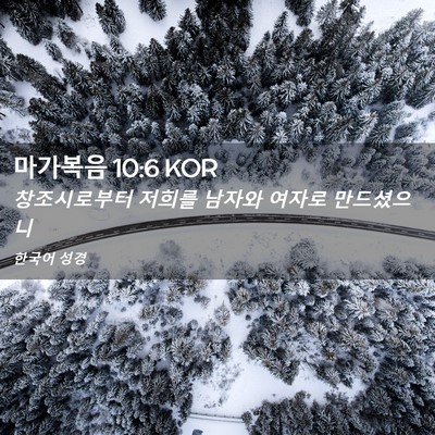 Picture 02 - 마가복음 10:6 KOR - 창조시로부터 저희를 남자와 여자로 - Bible Verse Picture
