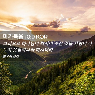 Picture 02 - 마가복음 10:9 KOR - 그러므로 하나님이 짝지어 주신 것을 - Bible Verse Picture