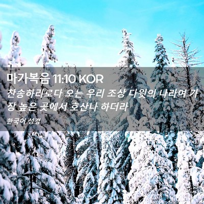 Picture 02 - 마가복음 11:10 KOR - 찬송하리로다 오는 우리 조상 다윗의 - Bible Verse Picture