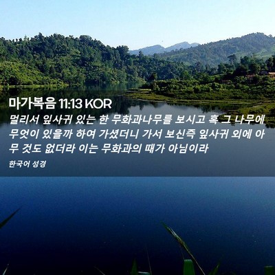 Picture 02 - 마가복음 11:13 KOR - 멀리서 잎사귀 있는 한 무화과나무를 - Bible Verse Picture