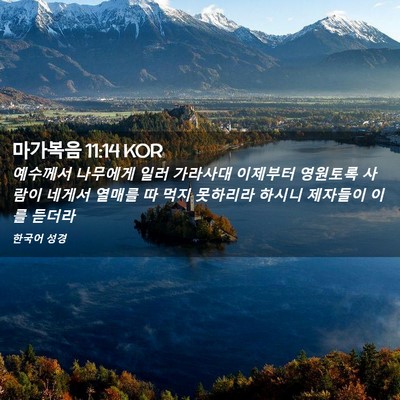 Picture 02 - 마가복음 11:14 KOR - 예수께서 나무에게 일러 가라사대 - Bible Verse Picture