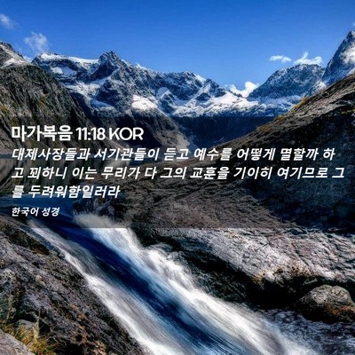 Picture 02 - 마가복음 11:18 KOR - 대제사장들과 서기관들이 듣고 - Bible Verse Picture