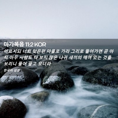 Picture 02 - 마가복음 11:2 KOR - 이르시되 너희 맞은편 마을로 가라 - Bible Verse Picture