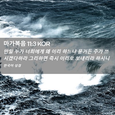 Picture 02 - 마가복음 11:3 KOR - 만일 누가 너희에게 왜 이리 하느냐 - Bible Verse Picture