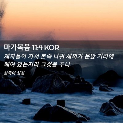 Picture 02 - 마가복음 11:4 KOR - 제자들이 가서 본즉 나귀 새끼가 - Bible Verse Picture