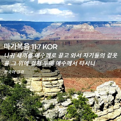 Picture 02 - 마가복음 11:7 KOR - 나귀 새끼를 예수께로 끌고 와서 - Bible Verse Picture