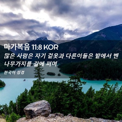 Picture 02 - 마가복음 11:8 KOR - 많은 사람은 자기 겉옷과 다른이들은 - Bible Verse Picture