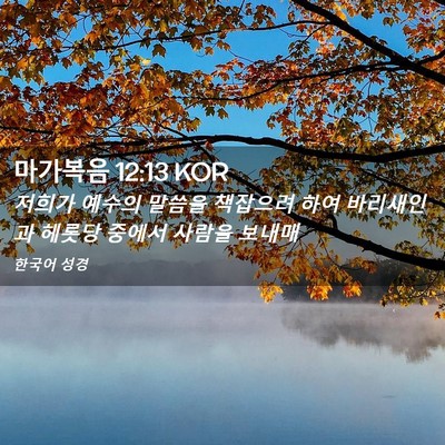 Picture 02 - 마가복음 12:13 KOR - 저희가 예수의 말씀을 책잡으려 하여 - Bible Verse Picture
