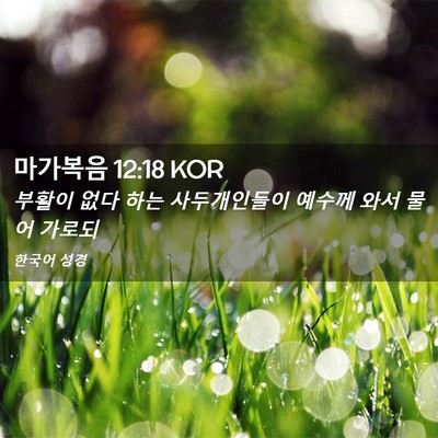 Picture 02 - 마가복음 12:18 KOR - 부활이 없다 하는 사두개인들이 - Bible Verse Picture