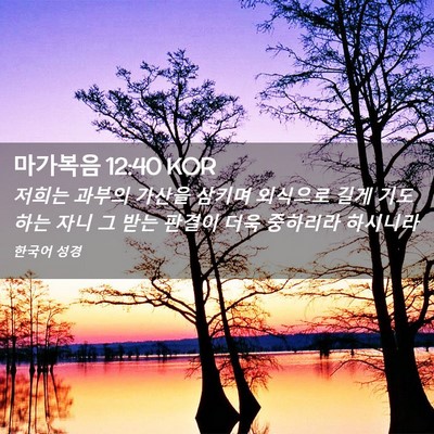 Picture 02 - 마가복음 12:40 KOR - 저희는 과부의 가산을 삼키며 - Bible Verse Picture
