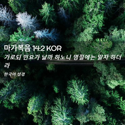 Picture 02 - 마가복음 14:2 KOR - 가로되 민요가 날까 하노니 명절에는 - Bible Verse Picture