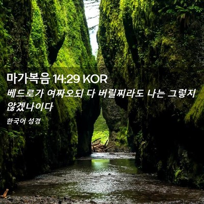 Picture 02 - 마가복음 14:29 KOR - 베드로가 여짜오되 다 버릴찌라도 - Bible Verse Picture