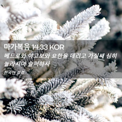 Picture 02 - 마가복음 14:33 KOR - 베드로와 야고보와 요한을 데리고 - Bible Verse Picture