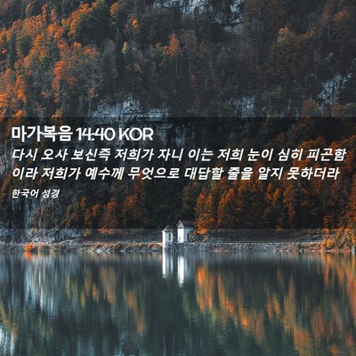 Picture 02 - 마가복음 14:40 KOR - 다시 오사 보신즉 저희가 자니 이는 - Bible Verse Picture
