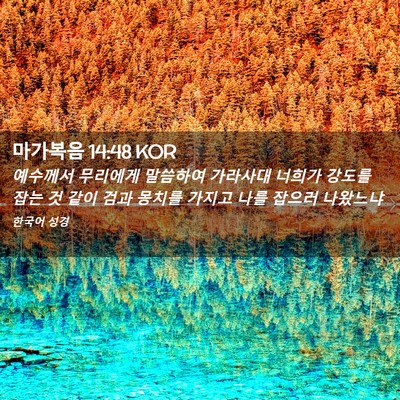 Picture 02 - 마가복음 14:48 KOR - 예수께서 무리에게 말씀하여 - Bible Verse Picture