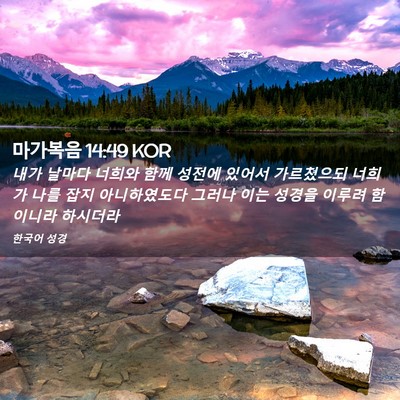 Picture 02 - 마가복음 14:49 KOR - 내가 날마다 너희와 함께 성전에 - Bible Verse Picture