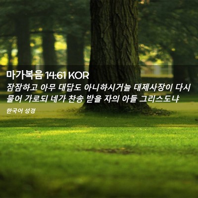 Picture 02 - 마가복음 14:61 KOR - 잠잠하고 아무 대답도 아니하시거늘 - Bible Verse Picture