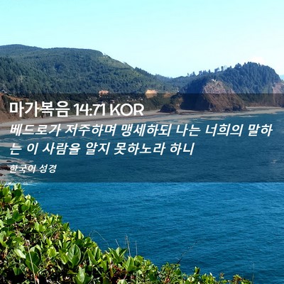 Picture 02 - 마가복음 14:71 KOR - 베드로가 저주하며 맹세하되 나는 - Bible Verse Picture