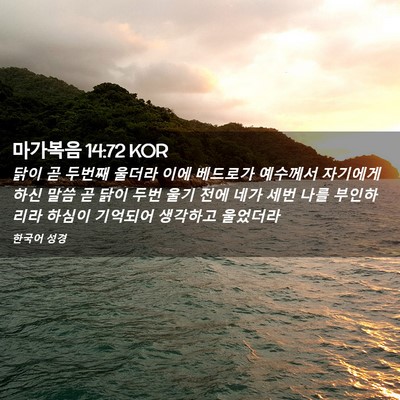 Picture 02 - 마가복음 14:72 KOR - 닭이 곧 두번째 울더라 이에 - Bible Verse Picture