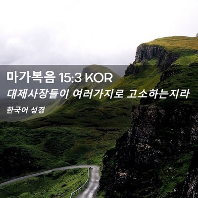 Picture 02 - 마가복음 15:3 KOR - 대제사장들이 여러가지로 - Bible Verse Picture