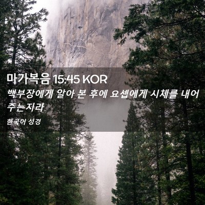 Picture 02 - 마가복음 15:45 KOR - 백부장에게 알아 본 후에 요셉에게 - Bible Verse Picture