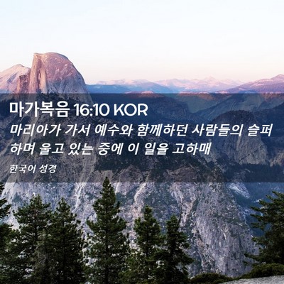 Picture 02 - 마가복음 16:10 KOR - 마리아가 가서 예수와 함께하던 - Bible Verse Picture