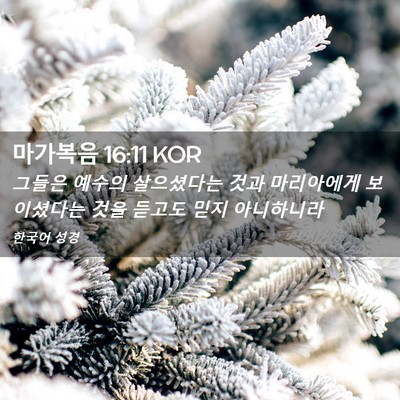 Picture 02 - 마가복음 16:11 KOR - 그들은 예수의 살으셨다는 것과 - Bible Verse Picture