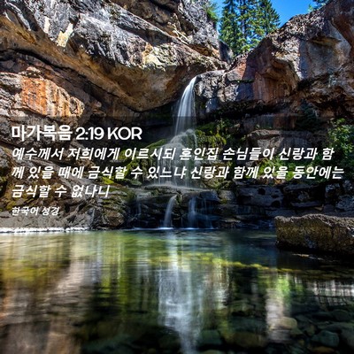 Picture 02 - 마가복음 2:19 KOR - 예수께서 저희에게 이르시되 혼인집 - Bible Verse Picture