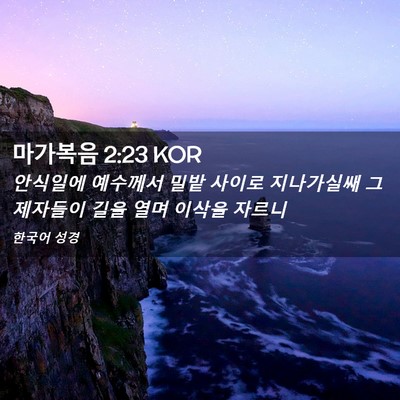 Picture 02 - 마가복음 2:23 KOR - 안식일에 예수께서 밀밭 사이로 - Bible Verse Picture
