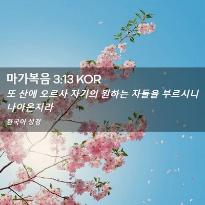Picture 02 - 마가복음 3:13 KOR - 또 산에 오르사 자기의 원하는 - Bible Verse Picture