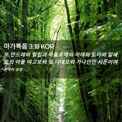 Picture 02 - 마가복음 3:18 KOR - 또 안드레와 빌립과 바돌로매와 - Bible Verse Picture