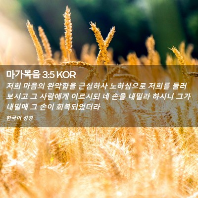 Picture 02 - 마가복음 3:5 KOR - 저희 마음의 완악함을 근심하사 - Bible Verse Picture