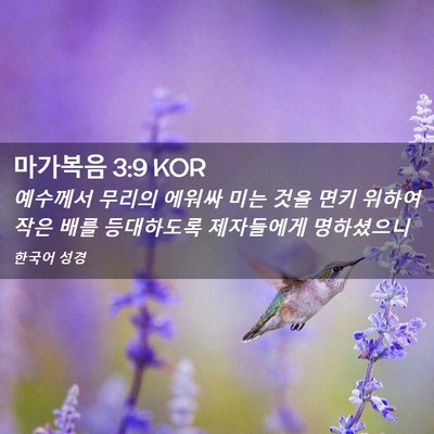 Picture 02 - 마가복음 3:9 KOR - 예수께서 무리의 에워싸 미는 것을 - Bible Verse Picture