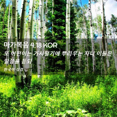 Picture 02 - 마가복음 4:18 KOR - 또 어떤이는 가시떨기에 뿌리우는 - Bible Verse Picture
