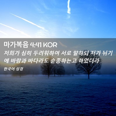 Picture 02 - 마가복음 4:41 KOR - 저희가 심히 두려워하여 서로 말하되 - Bible Verse Picture