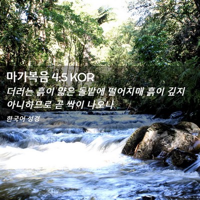 Picture 02 - 마가복음 4:5 KOR - 더러는 흙이 얇은 돌밭에 떨어지매 - Bible Verse Picture
