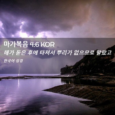Picture 02 - 마가복음 4:6 KOR - 해가 돋은 후에 타져서 뿌리가 - Bible Verse Picture