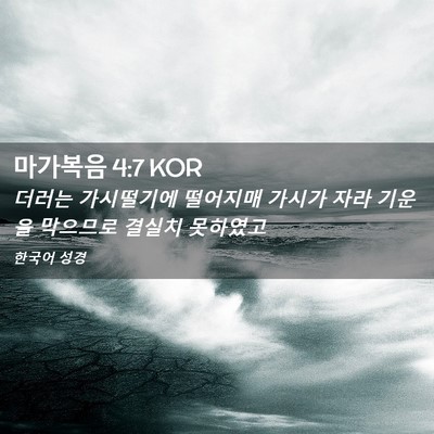 Picture 02 - 마가복음 4:7 KOR - 더러는 가시떨기에 떨어지매 가시가 - Bible Verse Picture