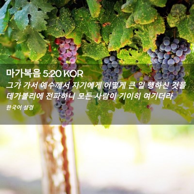 Picture 02 - 마가복음 5:20 KOR - 그가 가서 예수께서 자기에게 어떻게 - Bible Verse Picture