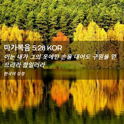 Picture 02 - 마가복음 5:28 KOR - 이는 내가 그의 옷에만 손을 대어도 - Bible Verse Picture