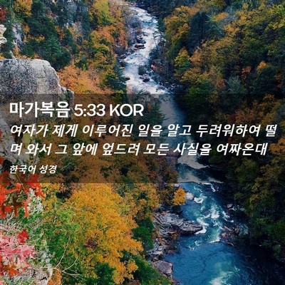 Picture 02 - 마가복음 5:33 KOR - 여자가 제게 이루어진 일을 알고 - Bible Verse Picture