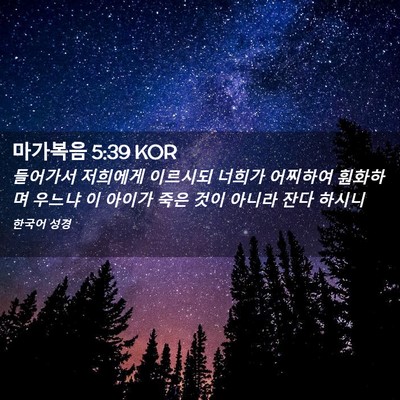 Picture 02 - 마가복음 5:39 KOR - 들어가서 저희에게 이르시되 너희가 - Bible Verse Picture