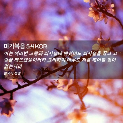 Picture 02 - 마가복음 5:4 KOR - 이는 여러번 고랑과 쇠사슬에 - Bible Verse Picture