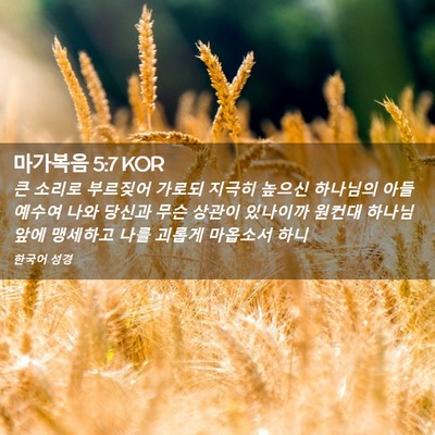 Picture 02 - 마가복음 5:7 KOR - 큰 소리로 부르짖어 가로되 지극히 - Bible Verse Picture