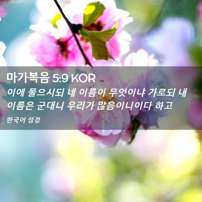 Picture 02 - 마가복음 5:9 KOR - 이에 물으시되 네 이름이 무엇이냐 - Bible Verse Picture