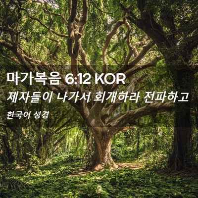 Picture 02 - 마가복음 6:12 KOR - 제자들이 나가서 회개하라 - Bible Verse Picture