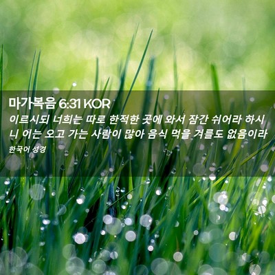 Picture 02 - 마가복음 6:31 KOR - 이르시되 너희는 따로 한적한 곳에 - Bible Verse Picture