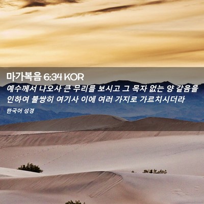 Picture 02 - 마가복음 6:34 KOR - 예수께서 나오사 큰 무리를 보시고 - Bible Verse Picture