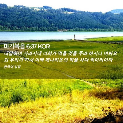 Picture 02 - 마가복음 6:37 KOR - 대답하여 가라사대 너희가 먹을 것을 - Bible Verse Picture